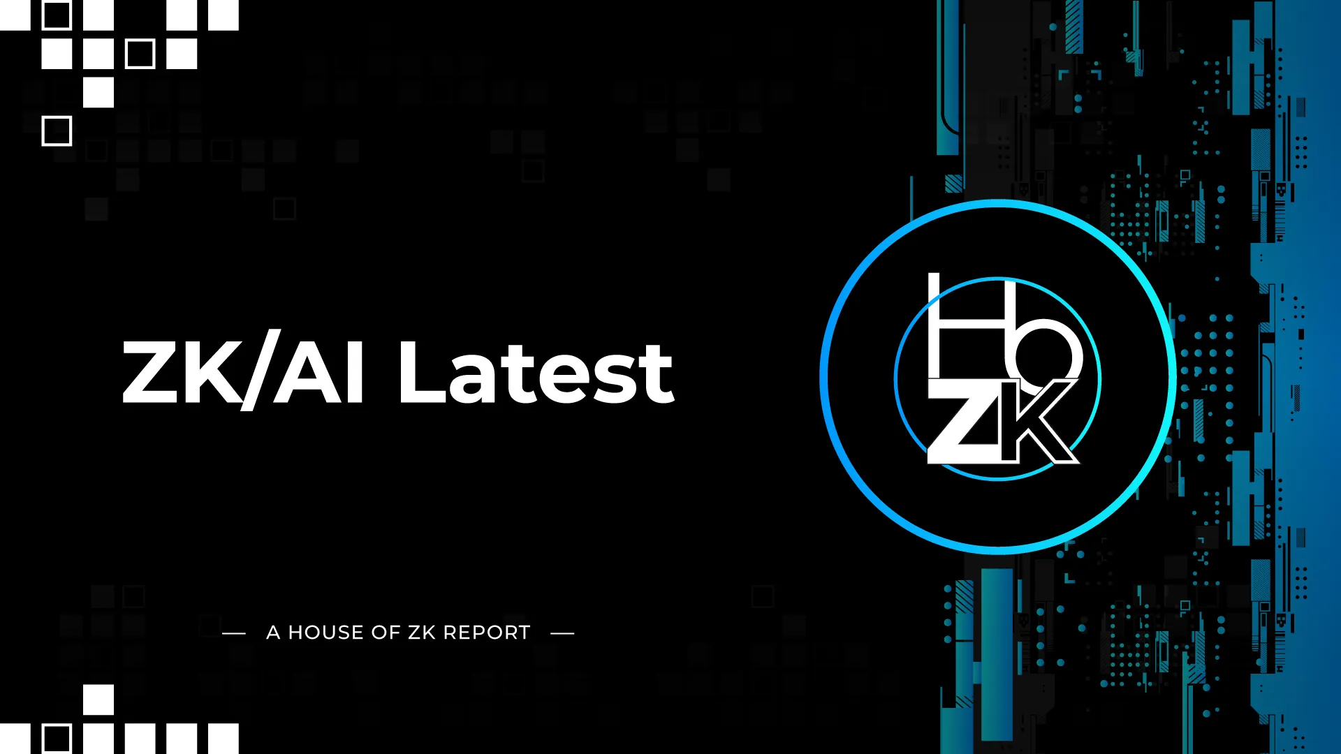 zkVerify AI zkML